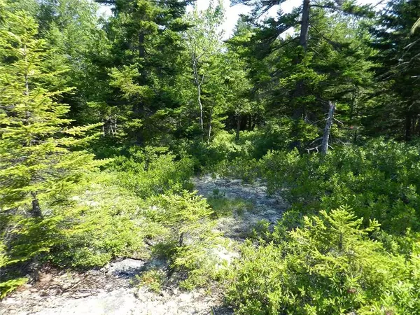 Mount Desert, ME 04675,Lot 6 Rock Garden WAY
