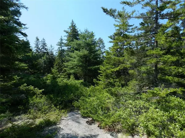 Mount Desert, ME 04675,Lot 9 Rock Garden WAY