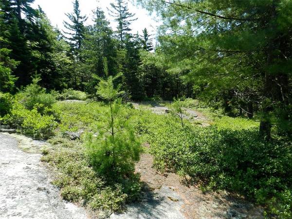 Mount Desert, ME 04675,Lot 9 Rock Garden WAY