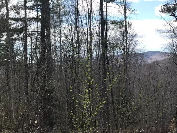 Sumner, ME 04292,00 River RD