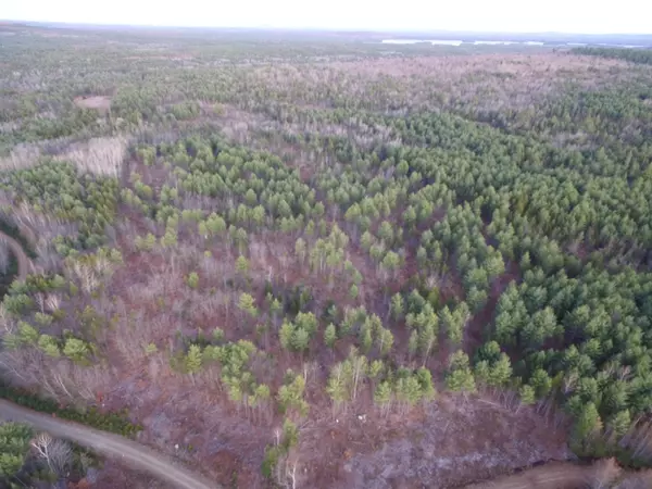 Seboeis Plt, ME 04448,Lot 40 Miller Ridge RD