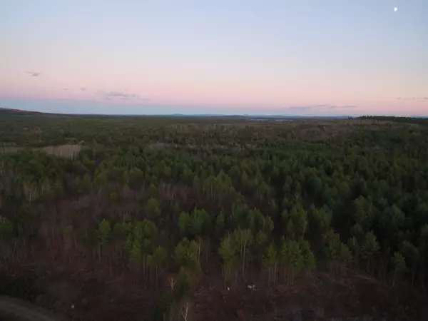 Seboeis Plt, ME 04448,Lot 40 Miller Ridge RD