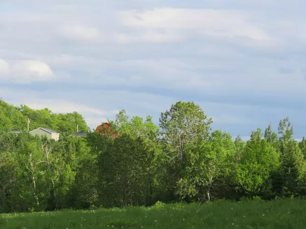 Woodland, ME 04736,291 Margison RD