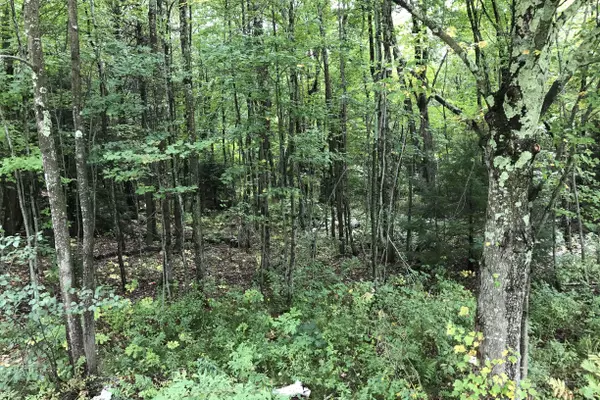 North Berwick, ME 03906,331 Somersworth RD