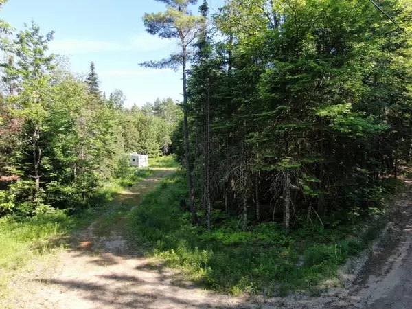 Bethel, ME 04217,309 Bird Hill Road