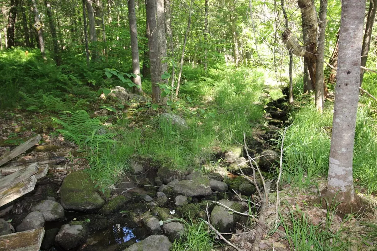 Bethel, ME 04217,309 Bird Hill Road