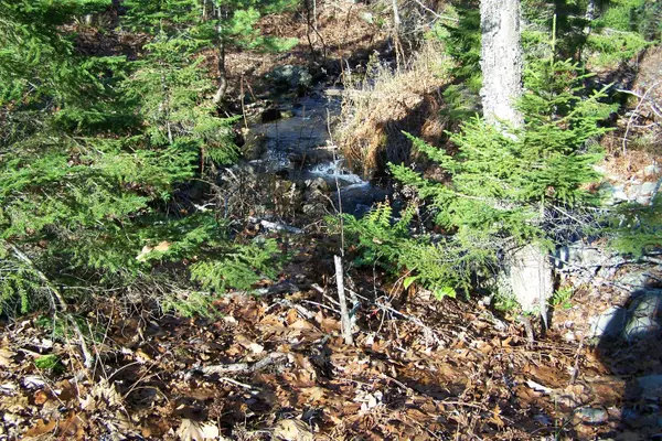 Northport, ME 04849,Lot 5 Parsloe Division IV