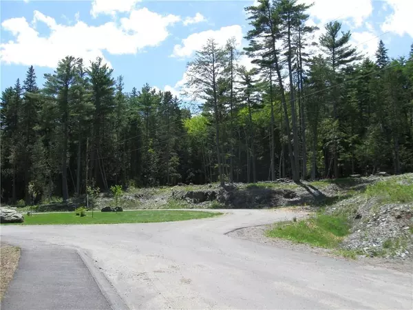 Orono, ME 04473,Lot 3 Shadbush LN