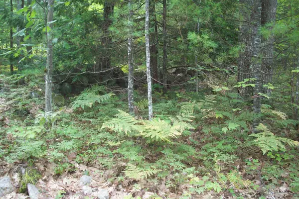 Hiram, ME 04041,5 Oak Woods DR