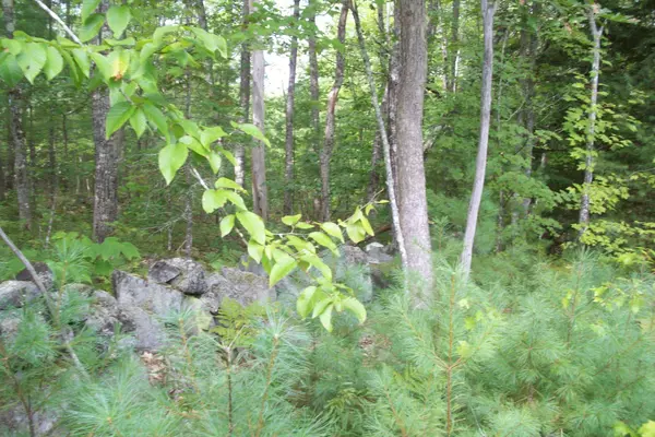 Hiram, ME 04041,5 Oak Woods DR