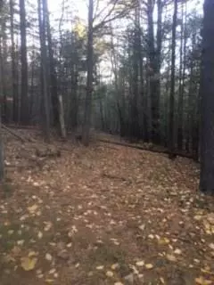 Kittery, ME 03905,7 Sawyers LN