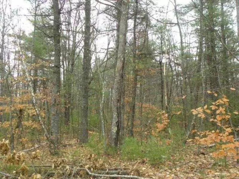 Map 014 Lot 040I & 040M Pierce RD, Waterboro, ME 04061