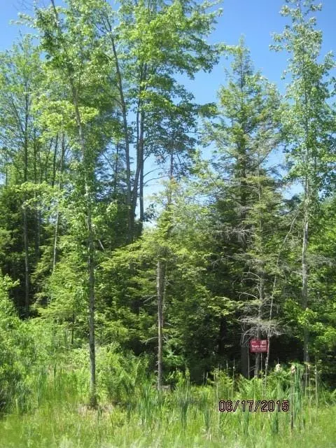 Lisbon, ME 04250,5 Young RD