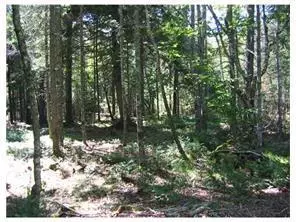 Trenton, ME 04605,9-1A Horse Farm RD