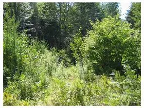 9-1A Horse Farm RD, Trenton, ME 04605