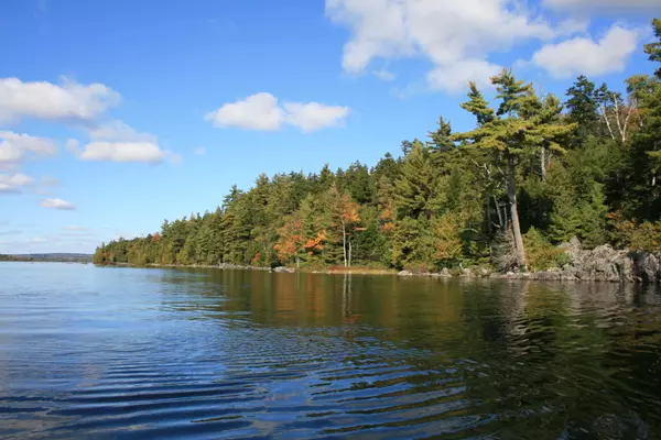 Cathance Twp, ME 04657,Lot 17 Smith Cove RD