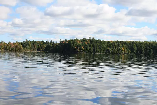 Cathance Twp, ME 04657,Lot 17 Smith Cove RD