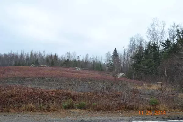 Cutler, ME 04626,1344-020 Cutler RD