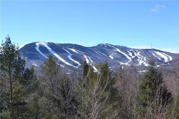 Newry, ME 04261,Lot 22 Mount Will DR