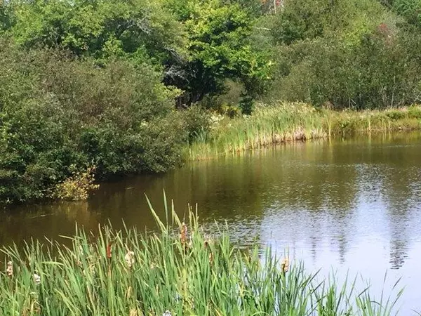 East Machias, ME 04630,451 Hadley Lake RD