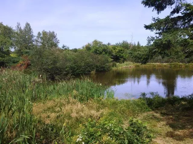 East Machias, ME 04630,451 Hadley Lake RD