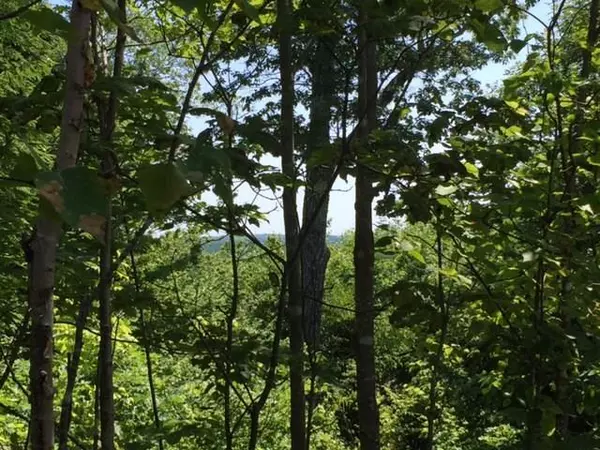 Mariaville, ME 04605,Lot 5-2 Jellison Meadow RD