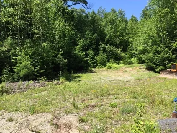 Mariaville, ME 04605,Lot 5-2 Jellison Meadow RD