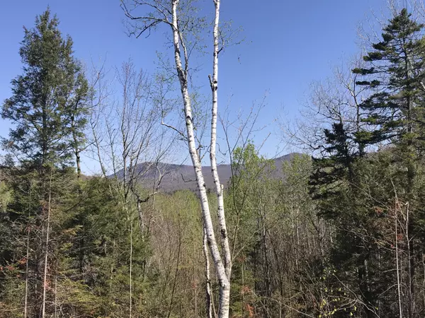 Roxbury, ME 04275,00 120