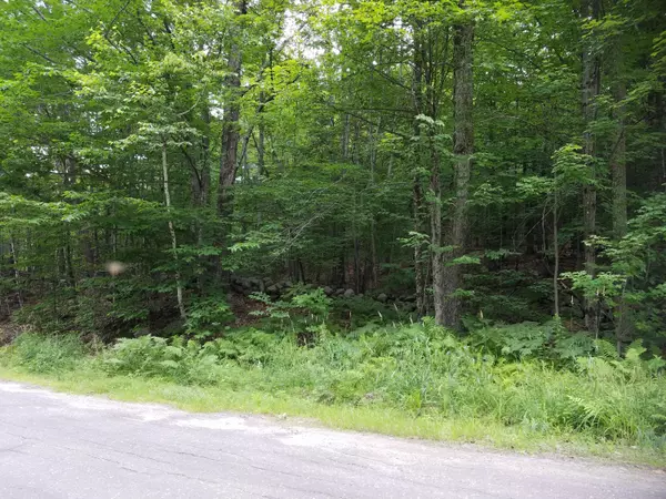 West Paris, ME 04289,TBD Tuelltown RD