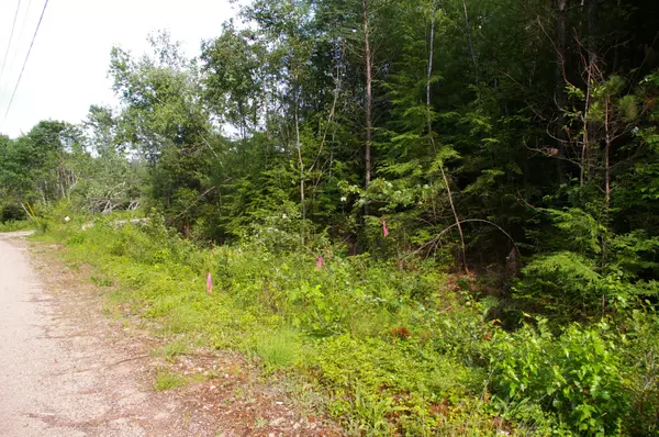 Brownfield, ME 04010,Lot #8 Rowe Lane RD