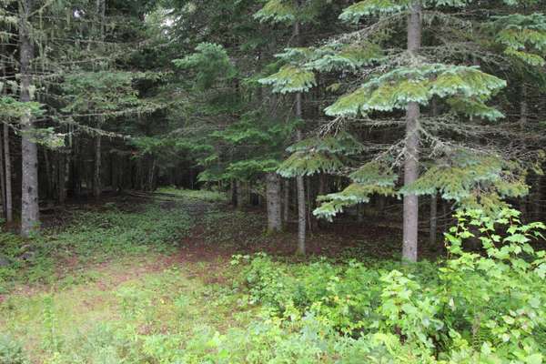 Lot 66-7 Deer Meadow, Rangeley, ME 04970