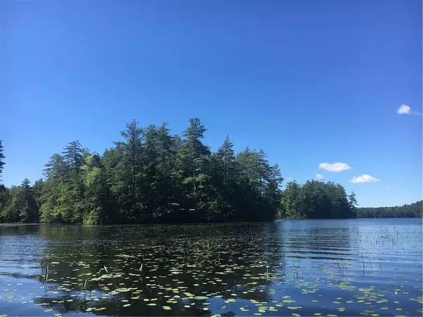 Liberty, ME 04949,Lot 19 Cedar Island