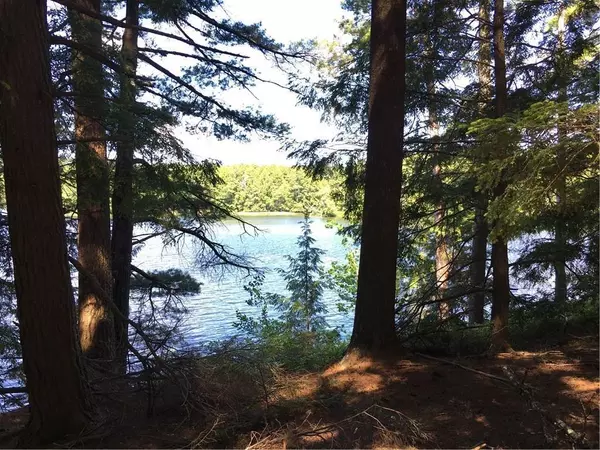 Liberty, ME 04949,Lot 19 Cedar Island