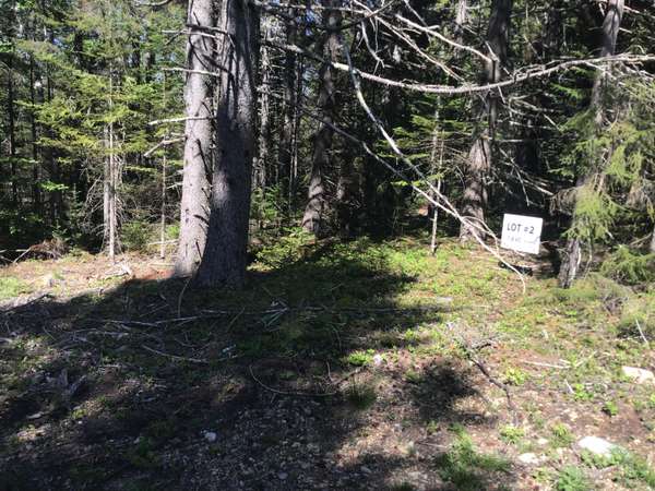 Lot 2 Lois Lane, Gouldsboro, ME 04607