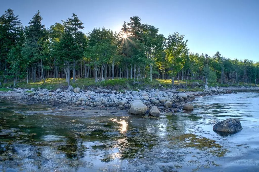 Steuben, ME 04680,246 Estates RD