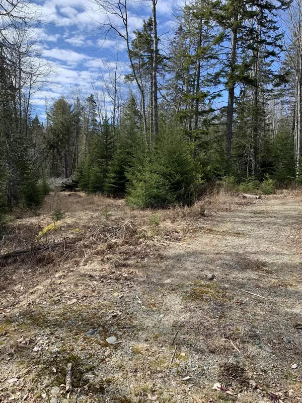 0 Crooked Road, Town Hill, Bar Harbor, ME 04609