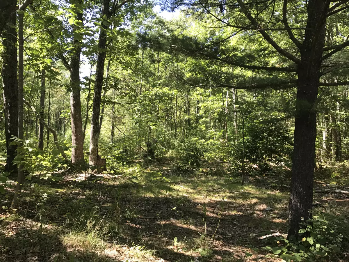 Kennebunkport, ME 04046,40 Goose Rocks RD