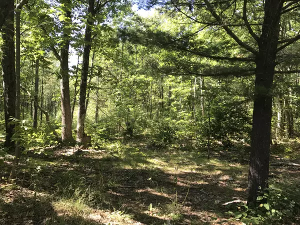 40 Goose Rocks RD, Kennebunkport, ME 04046