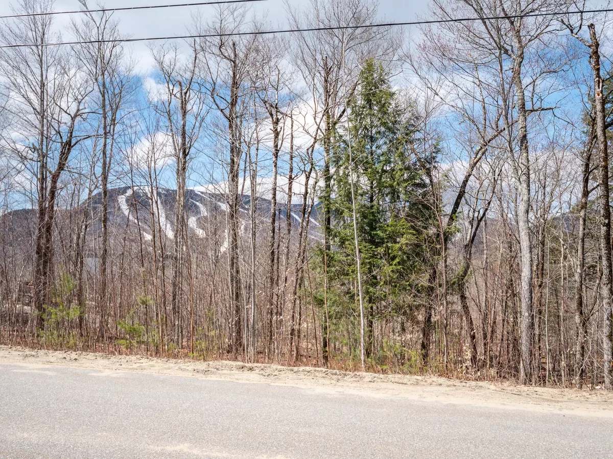 Newry, ME 04261,TBD Fisher RD