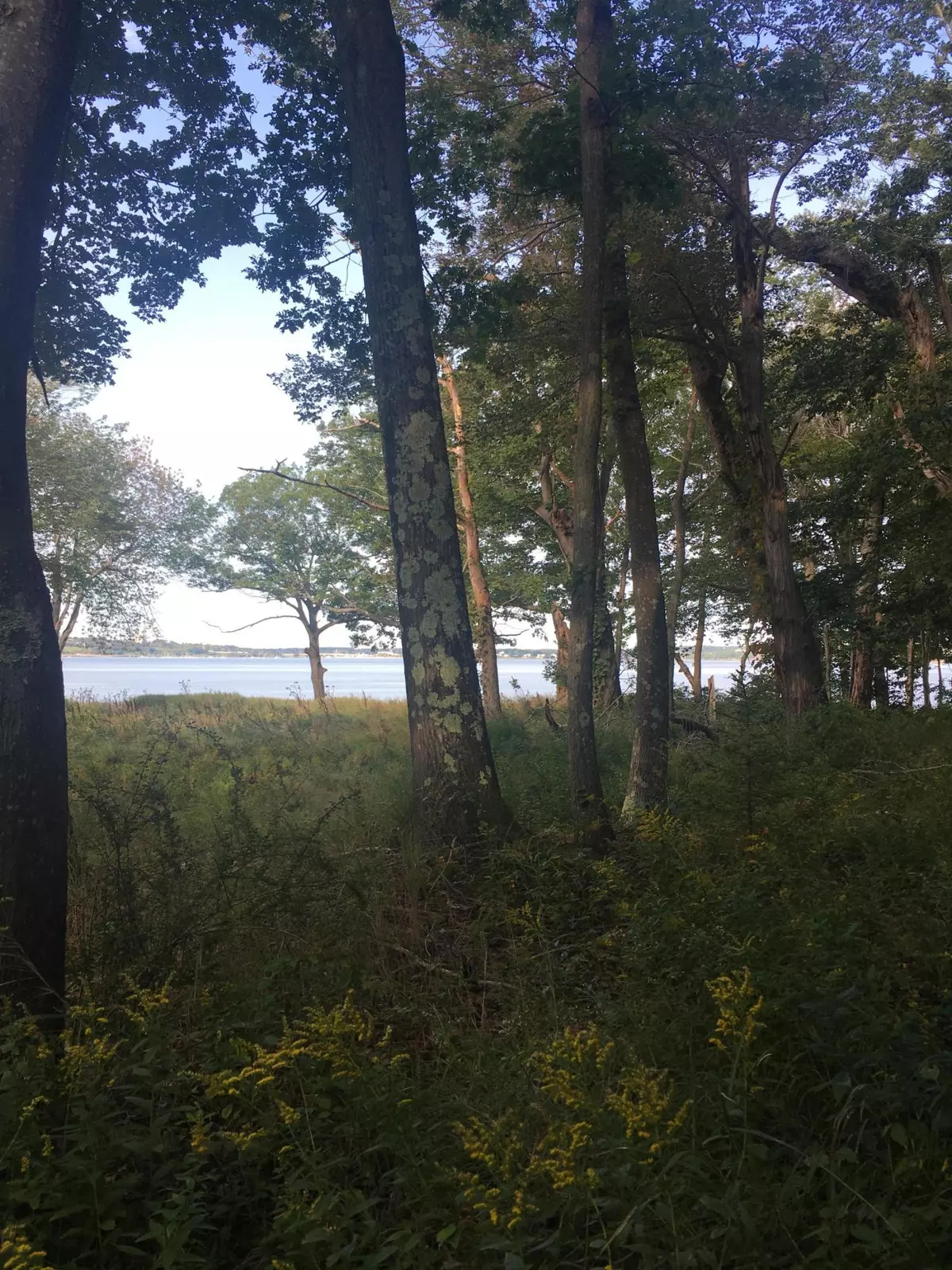 Portland, ME 04109,0 Meadow (Lot 6) AVE