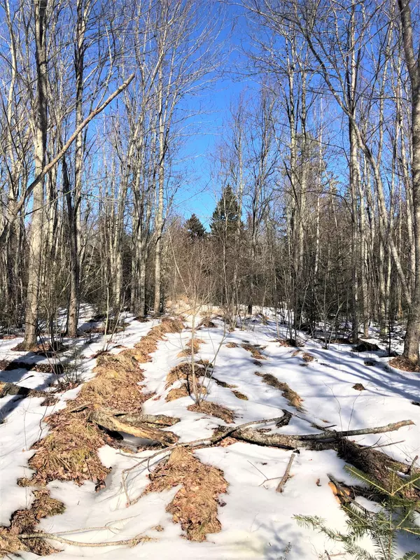 Roque Bluffs, ME 04654,Lot 48 Heath RD