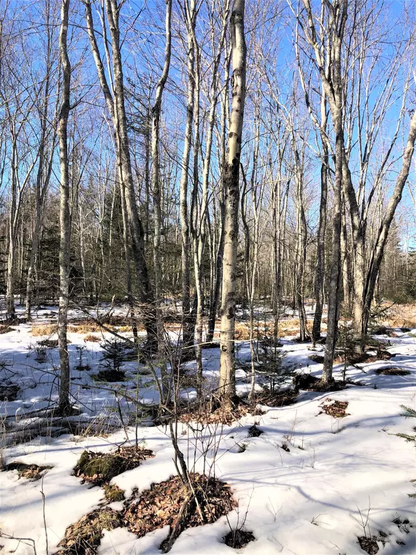 Lot 48 Heath RD, Roque Bluffs, ME 04654