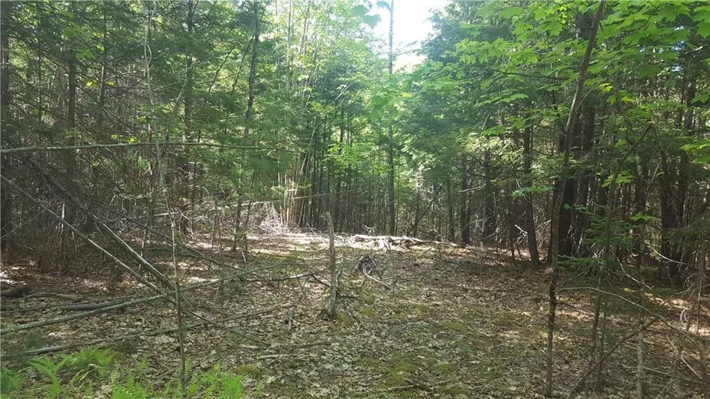 0 Fisher RD, Bowdoinham, ME 04008