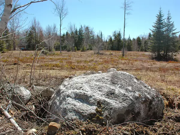 Trenton, ME 04605,0 Horse Farm Road