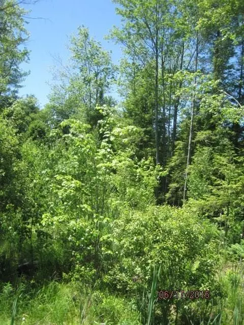 Lisbon, ME 04250,Lot 5 Young RD