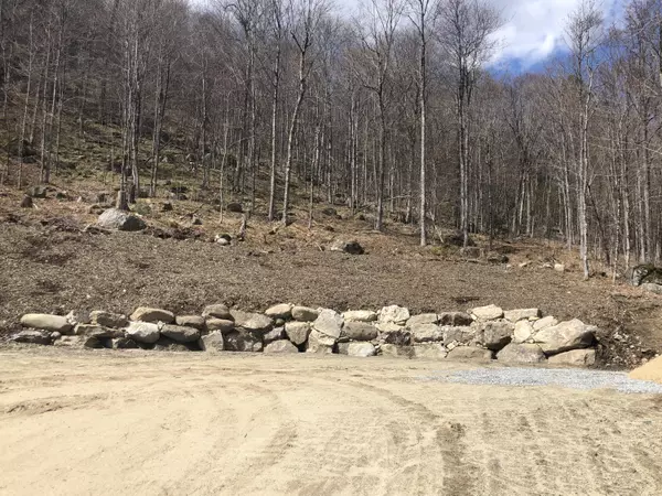 Newry, ME 04261,182 Monkey Brook RD