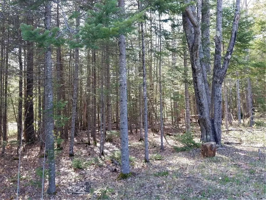 Otis, ME 04605,02 Nancy's LN