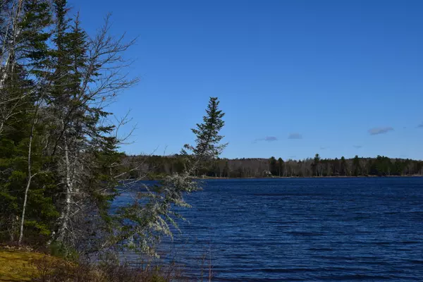 Mariaville, ME 04605,0 Morrison Farm RD