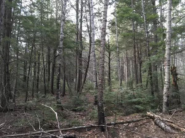 Lakeville, ME 04487,M1 L11-2A Frog RD