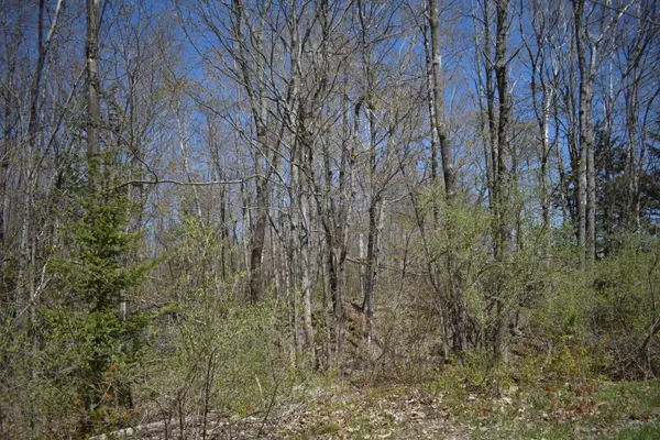 Palmyra, ME 04965,L 4-27 Page Road